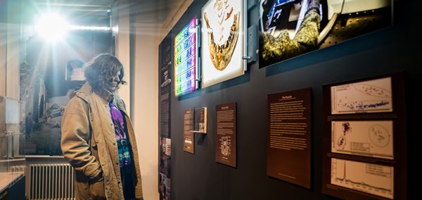 photo of a visitor looking at an exhibition